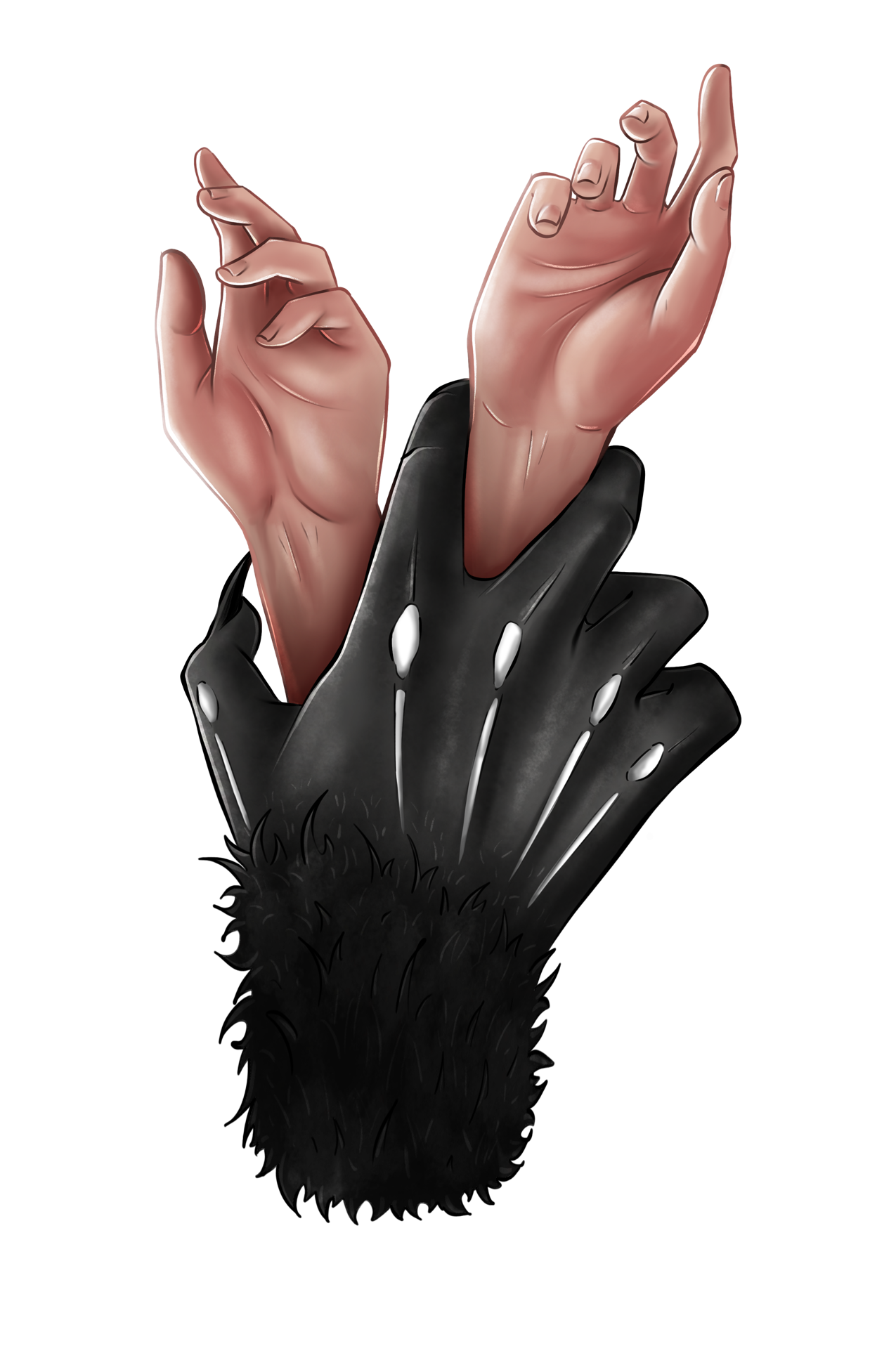 B1 - Your hands and your Duskwalker Sticker