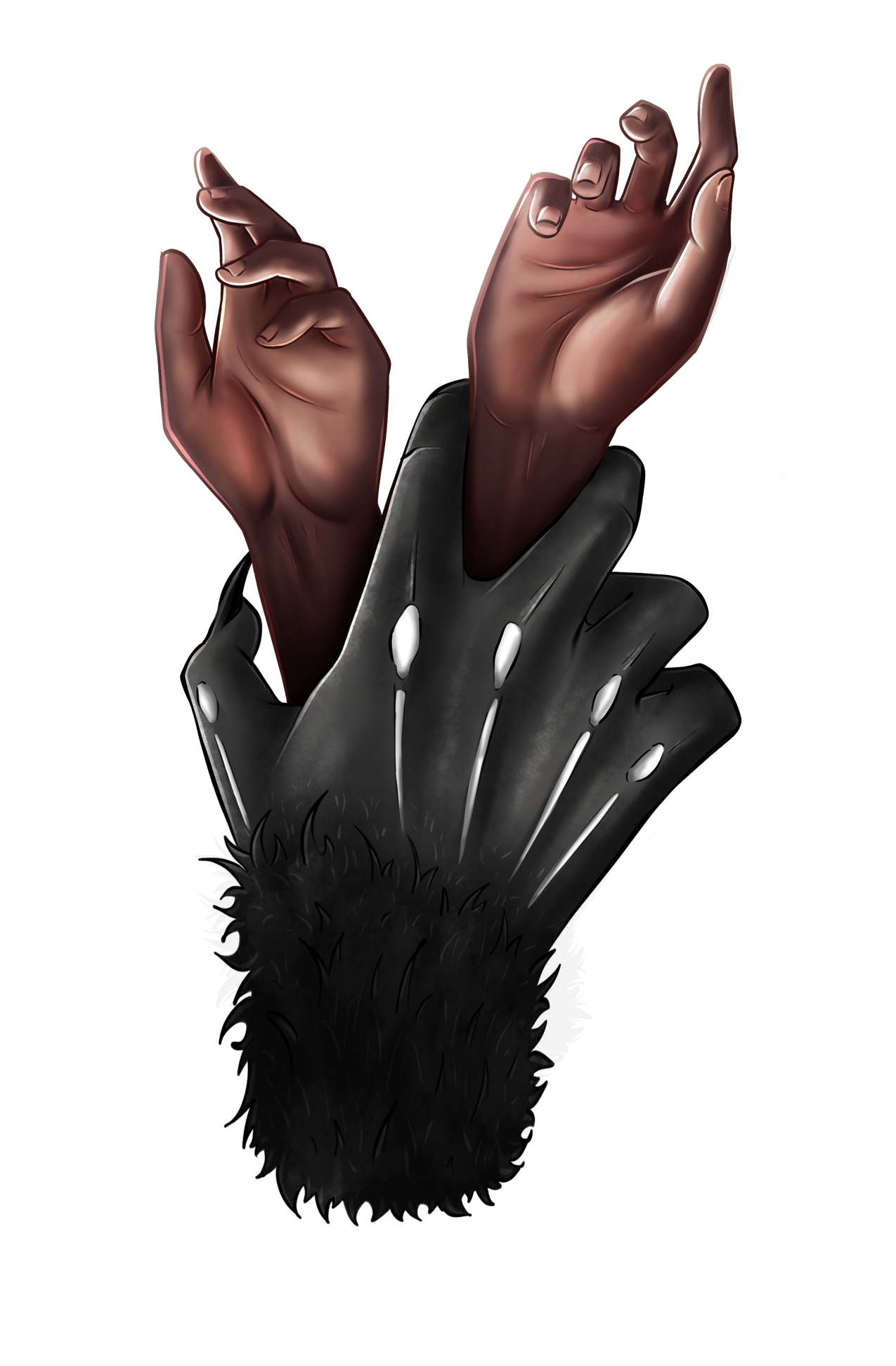 D1 - Your hands and your Duskwalker Sticker